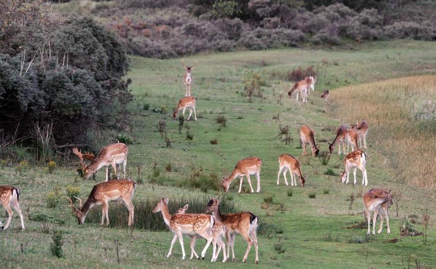 Glamping De Hof Van Eeden Warmond Dış mekan fotoğraf